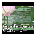 Grass-Fish Busters 草魚ムービー